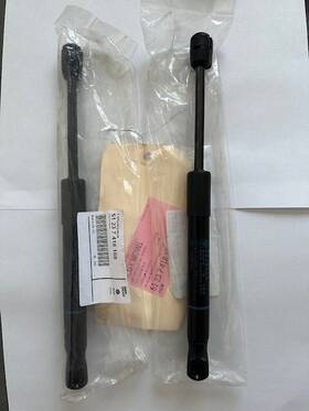 51237418188 Bmw Original 2018-2022 X5 Hoodlift Support Set Of 2