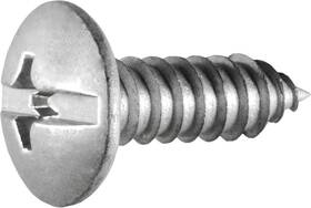 2947515 Clipsandfasteners 50 Duo-drive Truss Head License Plate Screws M6.3 X 1.81 20mm #14 3/4 Inch