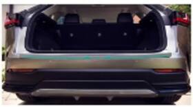 Pt924-78221 Lexus Genuine Rear Bumper Protector
