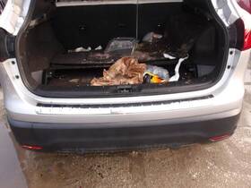 190-10013a Nissan Rear Bumper Fits 19-20 Qashqai 7521636