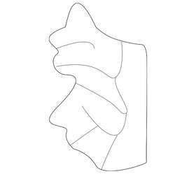 51035-0c010 Toyota Genuine Front Plate