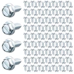 Tandefio 100 Pcs License Plate Screws Bulk 0.24 X 0.63 Inch/ 16 Mm, White. Fixed Price $27.46.