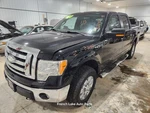 Driver Rear Side Door Crew Cab Electric Ua-black Fits 2009 Ford F150 1323345. Fixed Price $150.00.