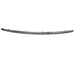 For Genuine Mini Bumper Cover Trim 51117032900 /. Fixed Price $68.95.