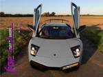 670-4 Fgp Set For Lamborghini Murcielago. Fixed Price $5959.00.