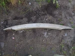 2000 Audi A6 Rear Bumper Reinforcement Impact Rebar W/o Park Assist Aid Oem. Fixed Price $32.64.