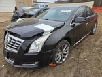 Rear Bumper Reinforcement Fits 13-19 Xts 1569185. Fixed Price $227.00.