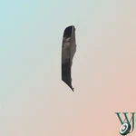 Genuine 2023 Land Rover Range Sport Finish Molding LR169072. Fixed Price $160.00.