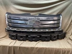 2007 - 2010 Ford Edge Front Radiator Grille Assembly Chrome Oem. Fixed Price $129.50.