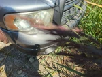 2002-2005 Dodge Ram 1500 Front Bumper Oem Tklty. Fixed Price $602.16.