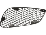 For 2015-2016 Mercedes E300 Bumper Grille Replacement Ap 39119CJZD. Fixed Price $17.12.