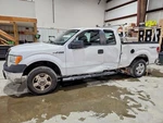 (local Pickup Only) Front Bumper Lower Bar Xl Chrome Fits 09-14 Ford F150. Fixed Price $472.41.