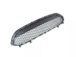 Genuine Mopar Lower Grille 68243498AA. Fixed Price $411.99.