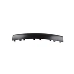 Genuine Mopar Fascia Applique 5NJ66TZZAB. Fixed Price $169.92.