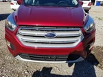17-19 Ford Escape Oem Front Bumper Assembly Red With Grilles And Fogs. Fixed Price $612.00.