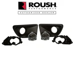 2013-2014 Ford Mustang Gt V6 Roush Lower Front Fascia Bumper Fog Light Lamp Kit. Fixed Price $429.99.