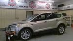Ford Escape 2017 Rear Bumper Used 7098. Fixed Price $263.99.