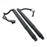 Electric Tailgate Struts Pair 51247332697 51247332698 For Bmw X6 E71 E72 07-2014. Fixed Price $90.26.