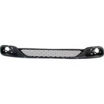 Bumper Grille Textured Front For 2011-2020 Dodge Grand Caravan. Fixed Price $142.70.