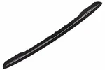 Genuine Gm Rear Bumper Fascia Insert 95963891. Fixed Price $174.67.
