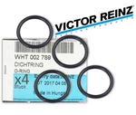 Set Of Variable Timing Solenoid Seal Victor Reinz 40-76042-10 For Audi, Vw. Fixed Price $22.00.