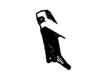 Genuine Ford 2007-2010 Explorer Sport Trac Mount Bracket 7A2Z-17D942-E. Fixed Price $8.90.