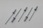 Audi Vw Skoda Seat 4.8X15 Pop Rivets Pack Of New Genuine N90765701. Fixed Price $25.83.