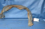 Nos 1984-87 Chevy Cavalier 2D/CONV Lh Rear Wheel Lip Molding Edge Trim 20495539. Fixed Price $85.00.