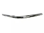Genuine Mopar Fascia Nerf Right 5104525AA. Fixed Price $51.50.
