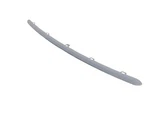 Genuine Mopar Fascia Applique 6XP45TZZAA. Fixed Price $69.34.