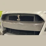 Ford Performance Parts M-17750-MCF Bumper Insert. Fixed Price $1242.27.