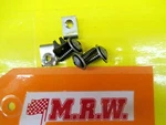 Mud Flap Splash Shield Bumper Cover Back Rear Screw Clip Honda 06-11 Civic Coupe. Fixed Price $19.99.