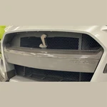 Ford Performance Carbonfiber Bumper Insert. Fixed Price $1018.99.