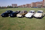 Volkswagen Beetle Vw Bug Fer 1936 - 1976 Factory Press Photo. Fixed Price $9.95.