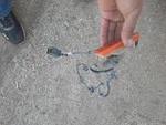 Front Bumper Side Light Left With Wires 95-97 XJ6 Vanden Plas XJ12 X300. Fixed Price $36.50.