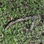 Bumper Clip Cover Headlight Bracket Driver Side Front For Acura Rsx 05-06. Fixed Price $69.99.