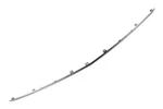 Genuine Gm Silver Rear Bumper Fascia Molding 84673841. Fixed Price $67.35.